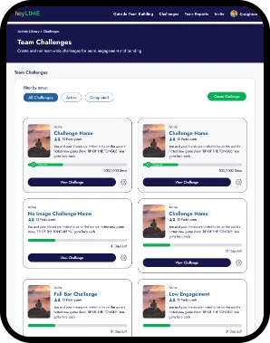 Development and Testing
